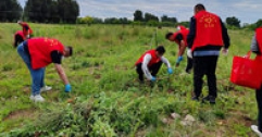 【市城市燃熱集團(tuán)富泰熱力】公司黨委組織開展除蒿草清垃圾志愿服務(wù)活動(dòng)